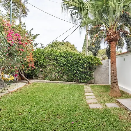 別荘 Casa Buganvilia