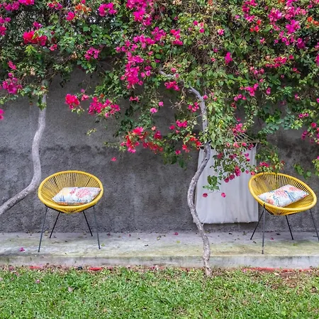 Casa Buganvilia 別荘 フンシャル