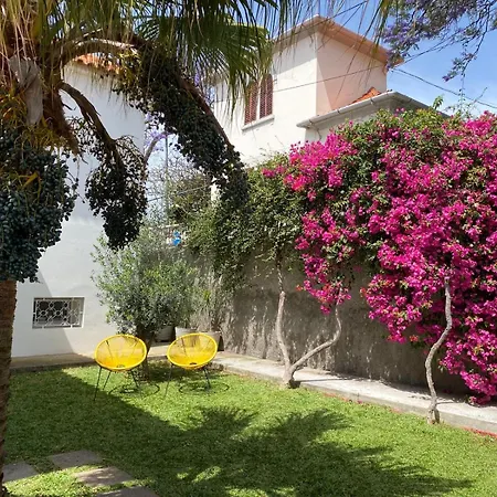 Casa Buganvilia 펜션 *