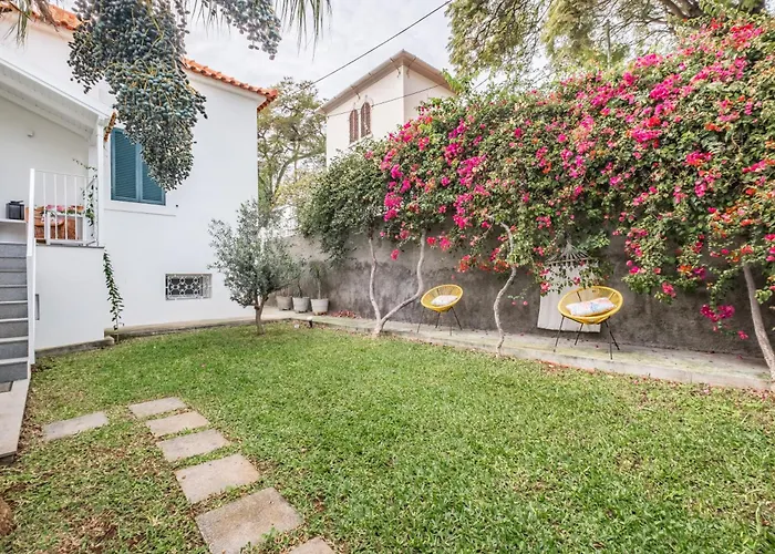 Casa Buganvilia 푼샬