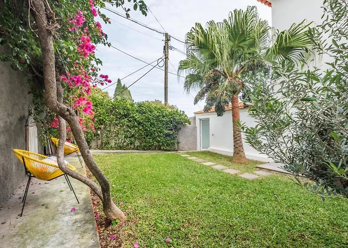 Casa Buganvilia 푼샬