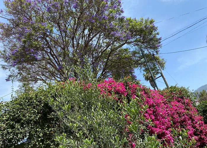 펜션 Casa Buganvilia 푼샬