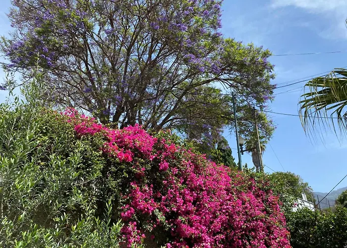 Casa Buganvilia * 푼샬