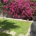 Casa Buganvília *