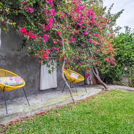 度假居 Casa Buganvilia