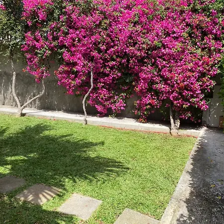 Casa Buganvilia *