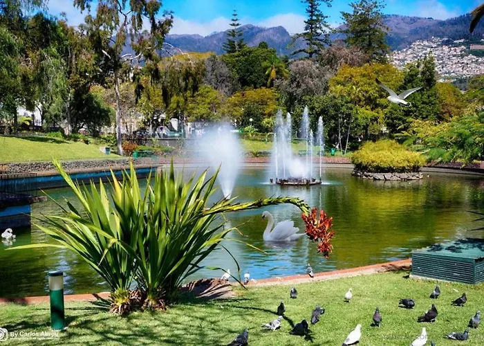 Casa Buganvilia 度假居 *